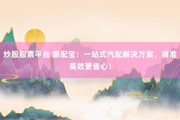 炒股股票平台 顺配宝：一站式汽配解决方案，精准高效更省心！