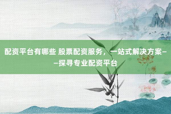 配资平台有哪些 股票配资服务，一站式解决方案——探寻专业配资平台