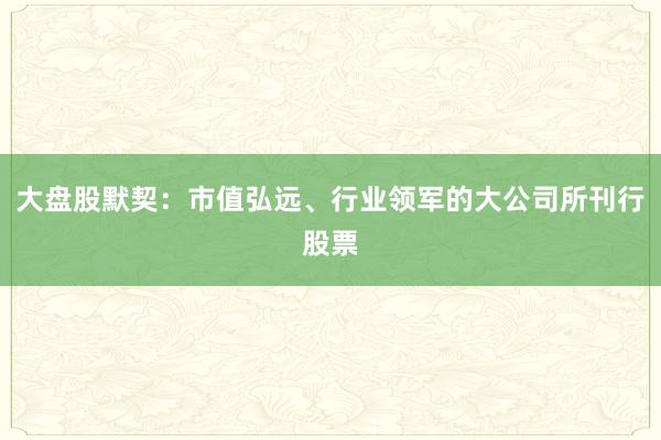大盘股默契：市值弘远、行业领军的大公司所刊行股票