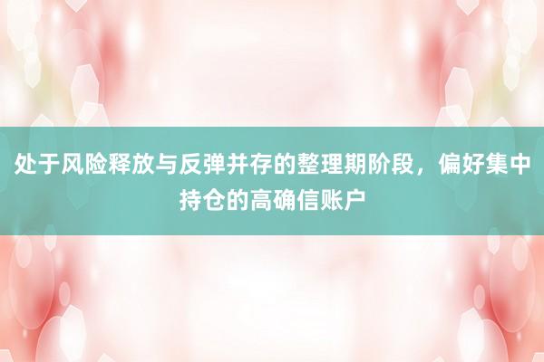 处于风险释放与反弹并存的整理期阶段，偏好集中持仓的高确信账户
