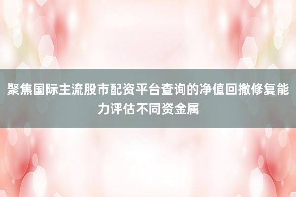 聚焦国际主流股市配资平台查询的净值回撤修复能力评估不同资金属