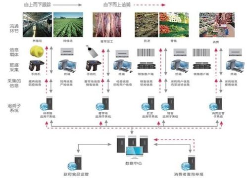 食品安全防伪追溯系统软件设计开发解决方案